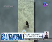 Namamataan ang ilang sea otters sa Turtle Islands sa Tawi-Tawi.&#60;br/&#62;&#60;br/&#62;&#60;br/&#62;Balitanghali is the daily noontime newscast of GTV anchored by Raffy Tima and Connie Sison. It airs Mondays to Fridays at 10:30 AM (PHL Time). For more videos from Balitanghali, visit http://www.gmanews.tv/balitanghali.&#60;br/&#62;&#60;br/&#62;#GMAIntegratedNews #KapusoStream&#60;br/&#62;&#60;br/&#62;Breaking news and stories from the Philippines and abroad:&#60;br/&#62;GMA Integrated News Portal: http://www.gmanews.tv&#60;br/&#62;Facebook: http://www.facebook.com/gmanews&#60;br/&#62;TikTok: https://www.tiktok.com/@gmanews&#60;br/&#62;Twitter: http://www.twitter.com/gmanews&#60;br/&#62;Instagram: http://www.instagram.com/gmanews&#60;br/&#62;&#60;br/&#62;GMA Network Kapuso programs on GMA Pinoy TV: https://gmapinoytv.com/subscribe