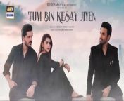 Tum Bin Kesay Jiyen Episode 30 _ March 2024 (English Subtitles) ARY Digital from al mulk 1 30