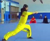 An awesome display of Kung Fu from the Chinese national team.
