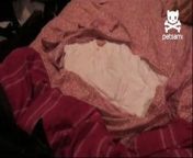 A dog is questioned when her owner comes home and sees that his bed sheets were ruined.