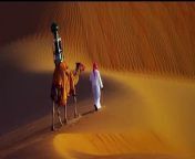 Explore the Arabian desert of Liwa, like the travelers of the deserts have been doing for thousands of years.