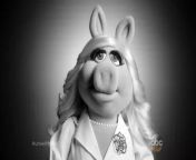 Stand behind Miss Piggy as she unveils her tail. Be a witness tonight on The Muppets, 8:30/7:30c on ABC! &#60;br/&#62;