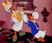 Donald Duck Cured Duck1945 Disney Toon from spoegbob boona toon