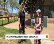 Zoo workers kept a close eye on animals to see how they reacted to the sudden darkness and drop in temperatures during the eclipse in Arkansas.