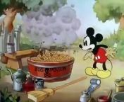 Mickeys Garden Disneytoon from disneytoon