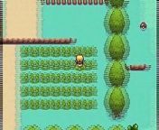 https://www.romstation.fr/multiplayer&#60;br/&#62;Play Pokémon Thunder Yellow online multiplayer on Gameboy Advance emulator with RomStation.
