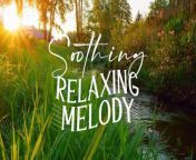 Relaxing Nature Sounds - Calm Atmosphere for Meditation, Stress Relief, Sleep Aid from www aid gan 2015 com