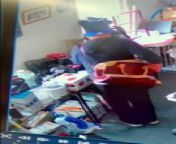 Charity shop thief caught on camera stealing £25 stereo from underpants thief full movie