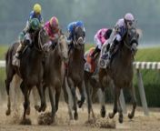 DraftKings, NY Racing Association Join for Belmont Stakes from spxbc1db ny