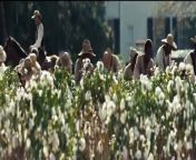 12 Years a Slave Bande-annonce (FR) from fr 1355