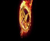 The Hunger Games Franchise Logo – “Remember”