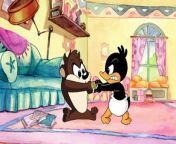 Baby Looney Tunes - School Daze Mary Had a Baby Duck Things That Go Bugs in The Night (in 169 and 1080p) from cid 10 169 4