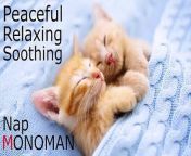 [Peaceful Relaxing Soothing] Nap - MONOMAN from soft download
