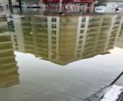 Flooded street in Al Barsha 1 from qari ahmed al