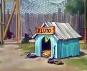 Silly Symphony - Mother Pluto - Walt Disney Cartoon Classics from walt disney reverse