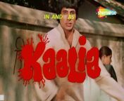 Theme Music | Kaalia | (1981) | Entertainment World from theme song movie