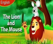 The Lion and the Mouse in English | English Fairy Tales from soni lion b f