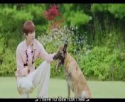 Love Is like a Cat (2024) EP 11 ENG SUB