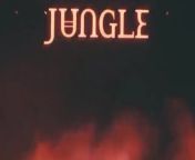 Coachella: Jungle Full Interview from in the rainforest jungle