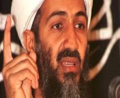 On May 2, 2011, Osama bin Laden was shot and killed by a SEAL team at his hideout in Abbottabad, Pakistan. The raid offered a disturbing insight into the brutality that such operations require — and the squalor and paranoia that characterized bin Laden&#39;s final years.