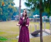 Dilraj Pashto New Tappy Song 2024BewasiOfficial Music Video