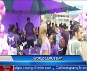 Today is World Lupus Day!&#60;br/&#62;&#60;br/&#62;On Friday afternoon, the Voice of Lupus Foundation held an event on the Brian Lara Promenade.&#60;br/&#62;&#60;br/&#62; &#60;br/&#62;&#60;br/&#62;The foundation&#39;s president is calling on the government for more support for lupus patients.