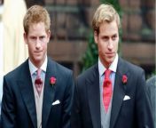 Prince Harry and Prince William both invited to Hugh Grosvenor’s wedding from harry potter is in the military fanfiction