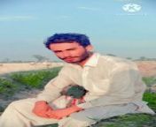 Sad poetry in Urdu from animation sad song